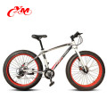 New Model Snow Bike/Trendy Fatbike/High quality Carbon Fat Bike frame/26 Inch Fat Bicycle tire Bike with best price